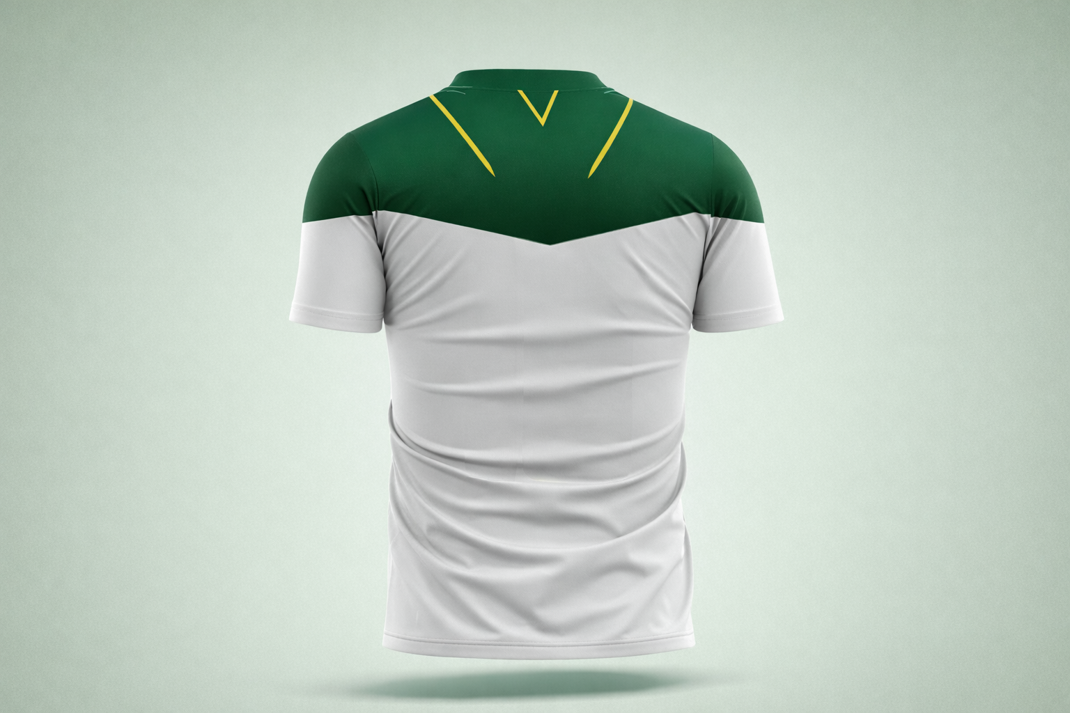 F.A.N MAILLOT BLANC MALI